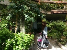 pink-elephant-image1.jpg